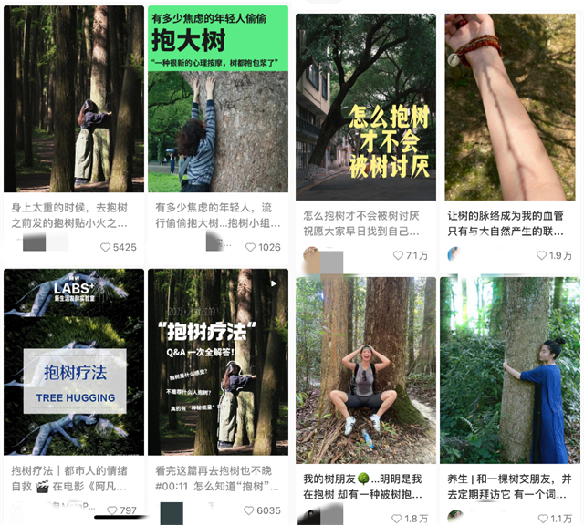 “抱大树”“养芒狗”……年轻人开启解压新姿势2
