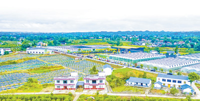 重庆市潼南区10余万人吃上“柠檬饭”,2022年柠檬产业链总产值逾60亿元<br>发展柠檬产业鼓起了果农“钱袋子”(人民眼·乡村产业振兴)4