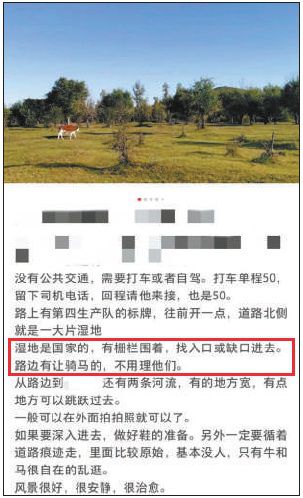 打不到车就报警，与土拨鼠亲密互动？有“毒”旅游攻略帖暗藏多重风险1
