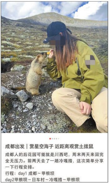 打不到车就报警，与土拨鼠亲密互动？有“毒”旅游攻略帖暗藏多重风险3