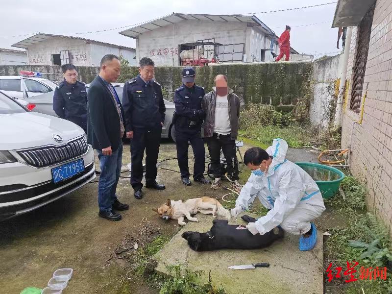 一年前的毒狗案牵出系列案：警方捣毁毒镖生产销售源头，又一毒狗嫌疑人被抓4