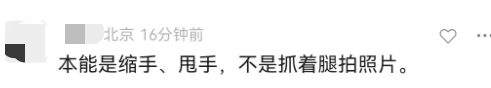 起诉昆明官方？男子抓海鸥拍照被罚后，发视频称“它先咬我”13