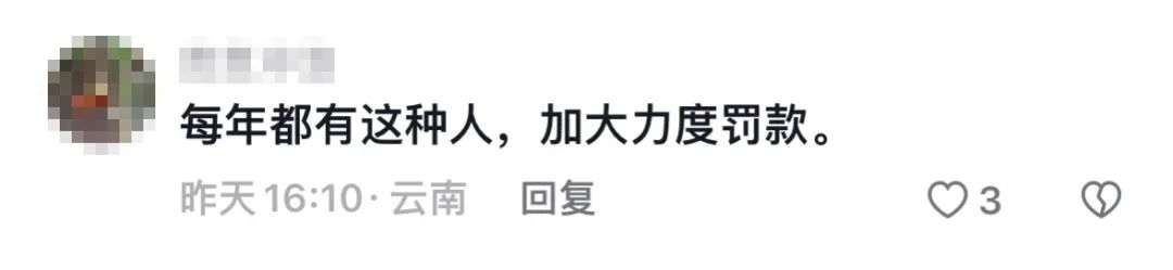 起诉昆明官方？男子抓海鸥拍照被罚后，发视频称“它先咬我”2