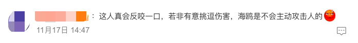 起诉昆明官方？男子抓海鸥拍照被罚后，发视频称“它先咬我”10