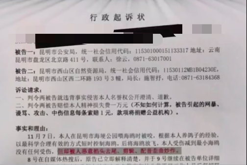 起诉昆明官方？男子抓海鸥拍照被罚后，发视频称“它先咬我”9
