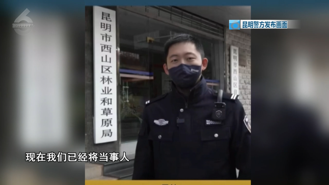 起诉昆明官方？男子抓海鸥拍照被罚后，发视频称“它先咬我”7