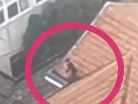 男子偷功德箱钱，还称：菩萨同意的，她给我比了“OK”2