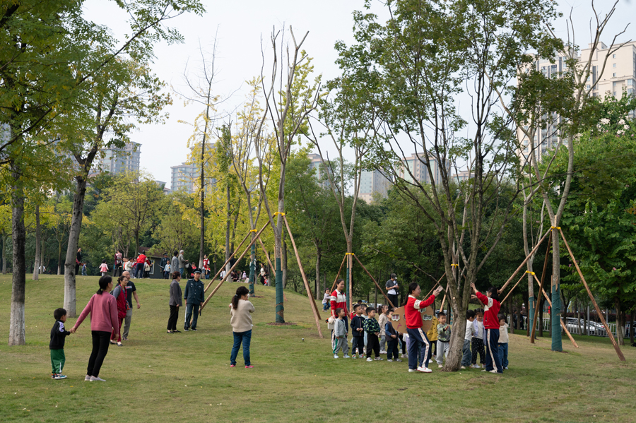 11月2日，老师带领孩子们在心湖公园开展活动。 董悠 供图