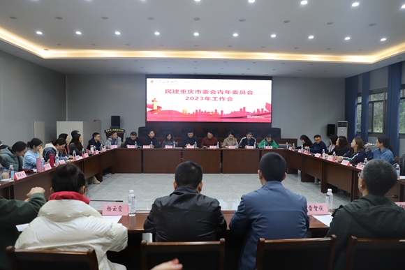 民建重庆市委会青年委员会2023年工作会成功召开。 民建重庆市委会供图 华龙网发