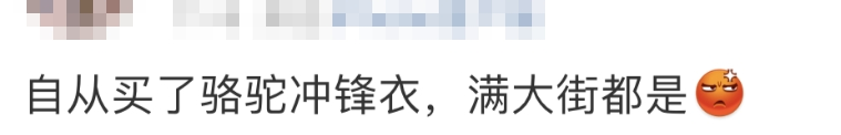 突然爆火!部分已卖断货,满大街都是:“办公室全在穿”7