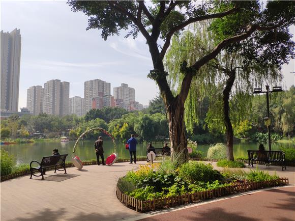 不少市民在公园里一边畅享暖阳一边欣赏湖面上色彩斑斓的植物美景。通讯员 范永根 摄