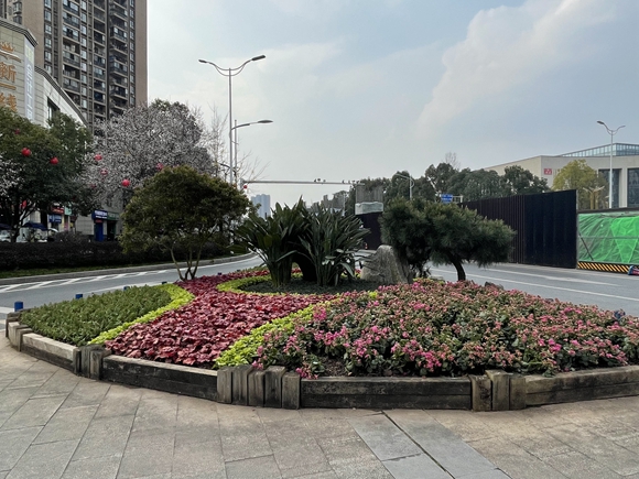 多种植物点缀在城市花境中。铜梁区城市管理局供图 华龙网发