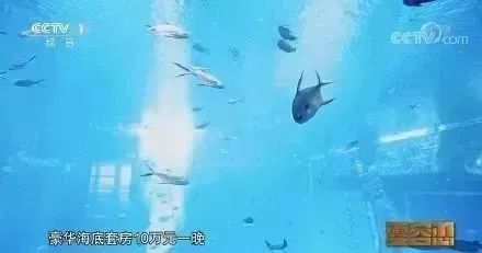 最快落马！90后公务员试用期未满就被查！8