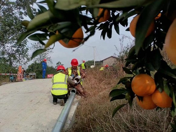 工人正在铺设自来水饮水管道。忠县县委宣传部供图 华龙网发