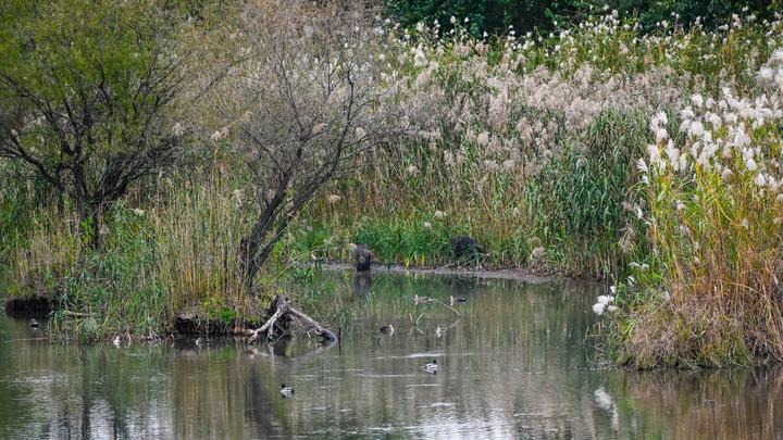 大江奔流歌未央——江苏积极探索建设中华民族现代文明8