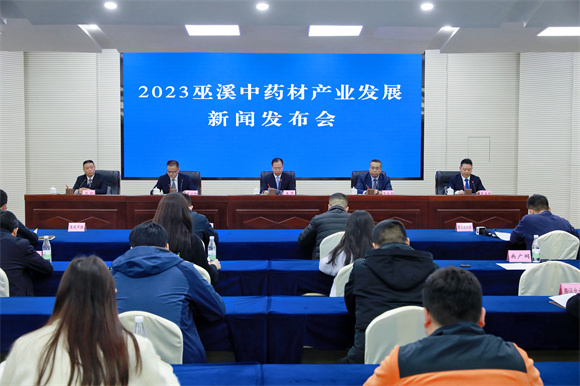 2023巫溪中药材产业发展新闻发布会。巫溪县委宣传部供图 华龙网发