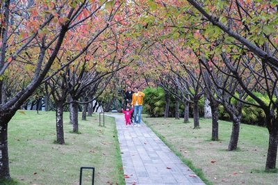 Visitors enjoyed a happy family time in Jiangbeizui CBD. (Photographed by Cao Jian) 