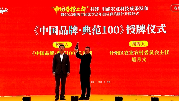 《中国品牌·典范100》授牌环节。陈泓莹 摄