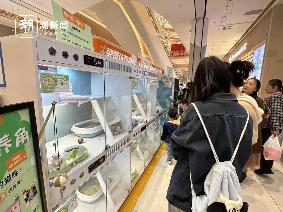 追求随意、自由和性价比？“年轻人逛商场只去B1B2”冲上热搜3