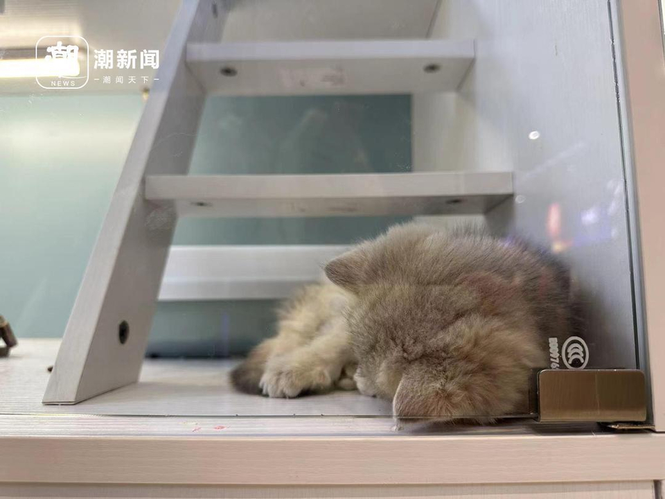 追求随意、自由和性价比？“年轻人逛商场只去B1B2”冲上热搜2