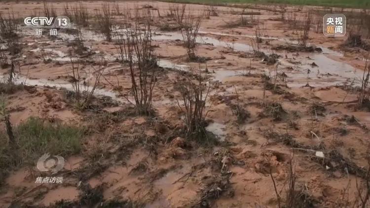 千亩耕地被重度污染，有涉事企业负责人微笑受访：每年要交大几千万的税，对当地有贡献8