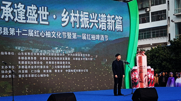丰都县委常委、政法委书记张建华宣布活动开幕