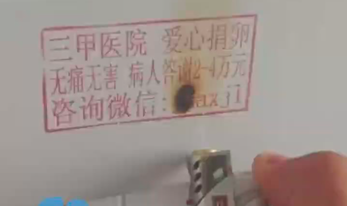 高校男生将女厕捐卵广告全部烧黑！捐卵合法吗？危害多大？1