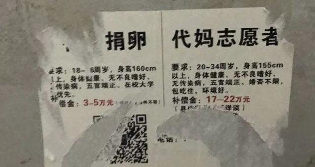 高校男生将女厕捐卵广告全部烧黑！捐卵合法吗？危害多大？2