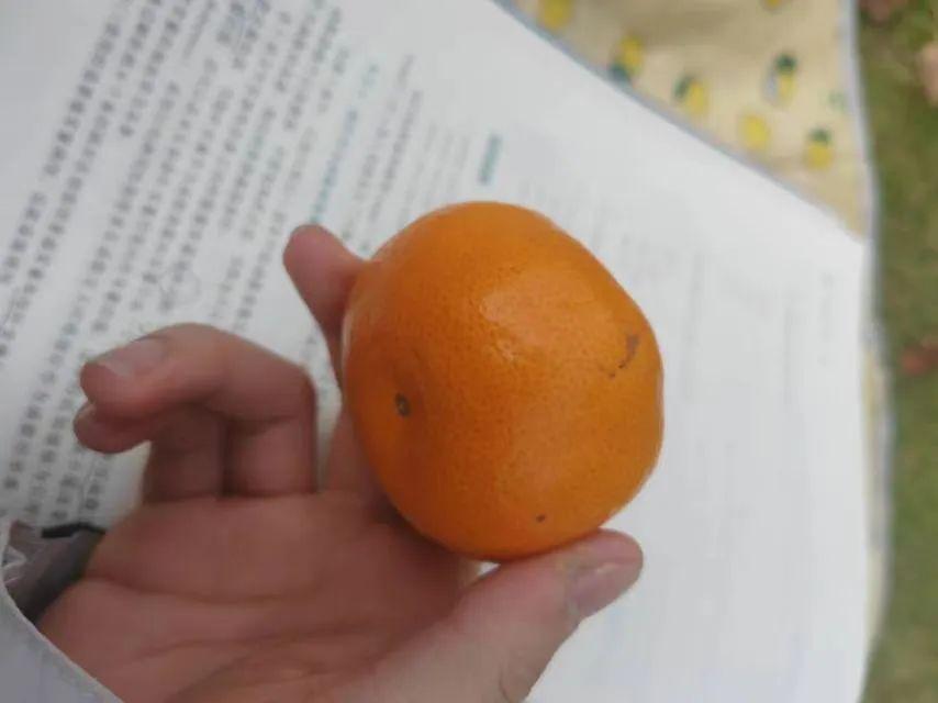 浙大男生为救窒息小孩旷课被点名，同学们纷纷点赞！被异物噎住应该如何救助？6
