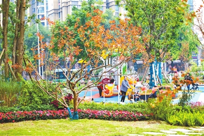 市民在晨花公园二期百花儿童乐区里玩耍。见习记者 刘映呈 摄