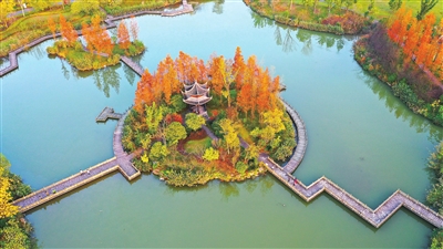 双桂湖国家湿地公园。记者 刘辉 摄