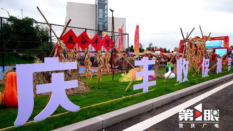 丰收节 | 重庆各地举办丰富多彩的庆祝活动1