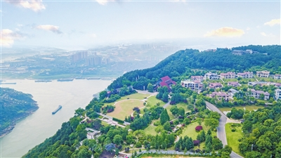 Tiepingshan Forest Park is one of the winter foliage viewing spots. (File picture)