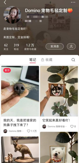 90后宠物毛毡师：用温暖的材料做有温度的作品，让逝去的宠物“重回”人间6