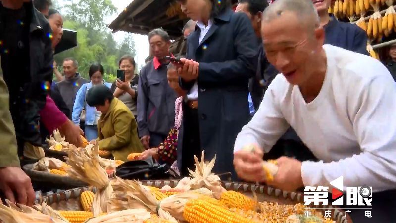 丰收节 | 重庆各地举办丰富多彩的庆祝活动5