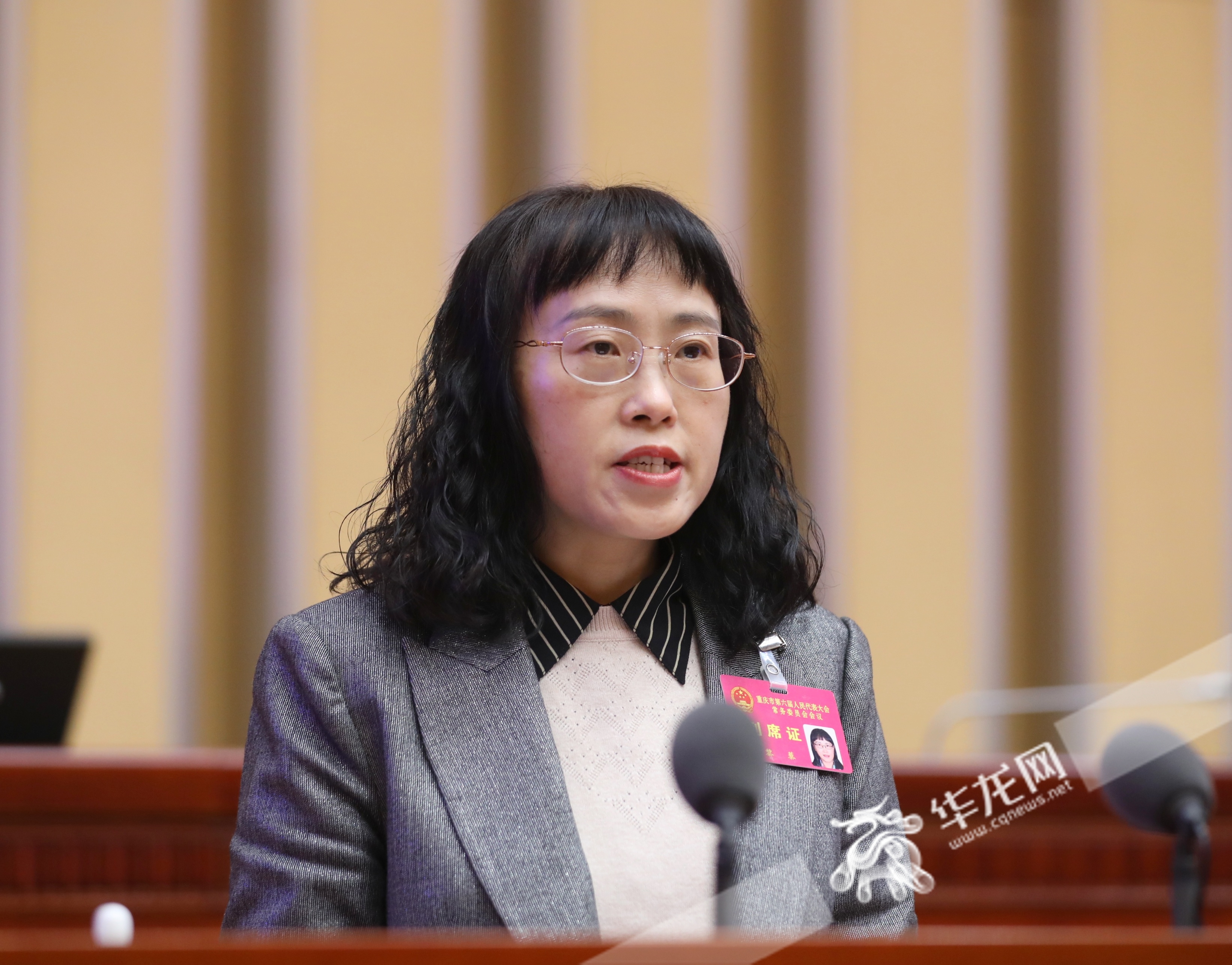 市人大法制委副主任委员黎藜作关于《重庆市安全生产条例（修订草案）》修改情况的汇报