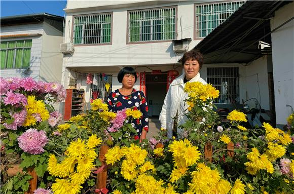 村民赏花。特约通讯员 李拉拉 摄