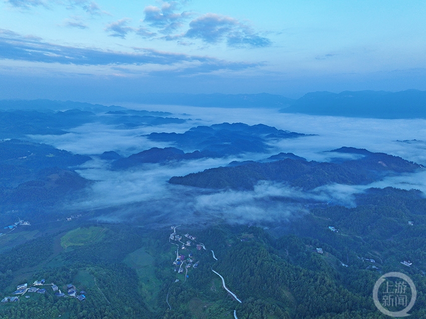 绿海映朝霞 风景美如画