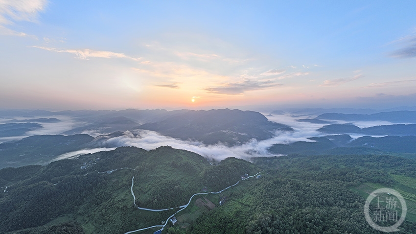 绿海映朝霞 风景美如画