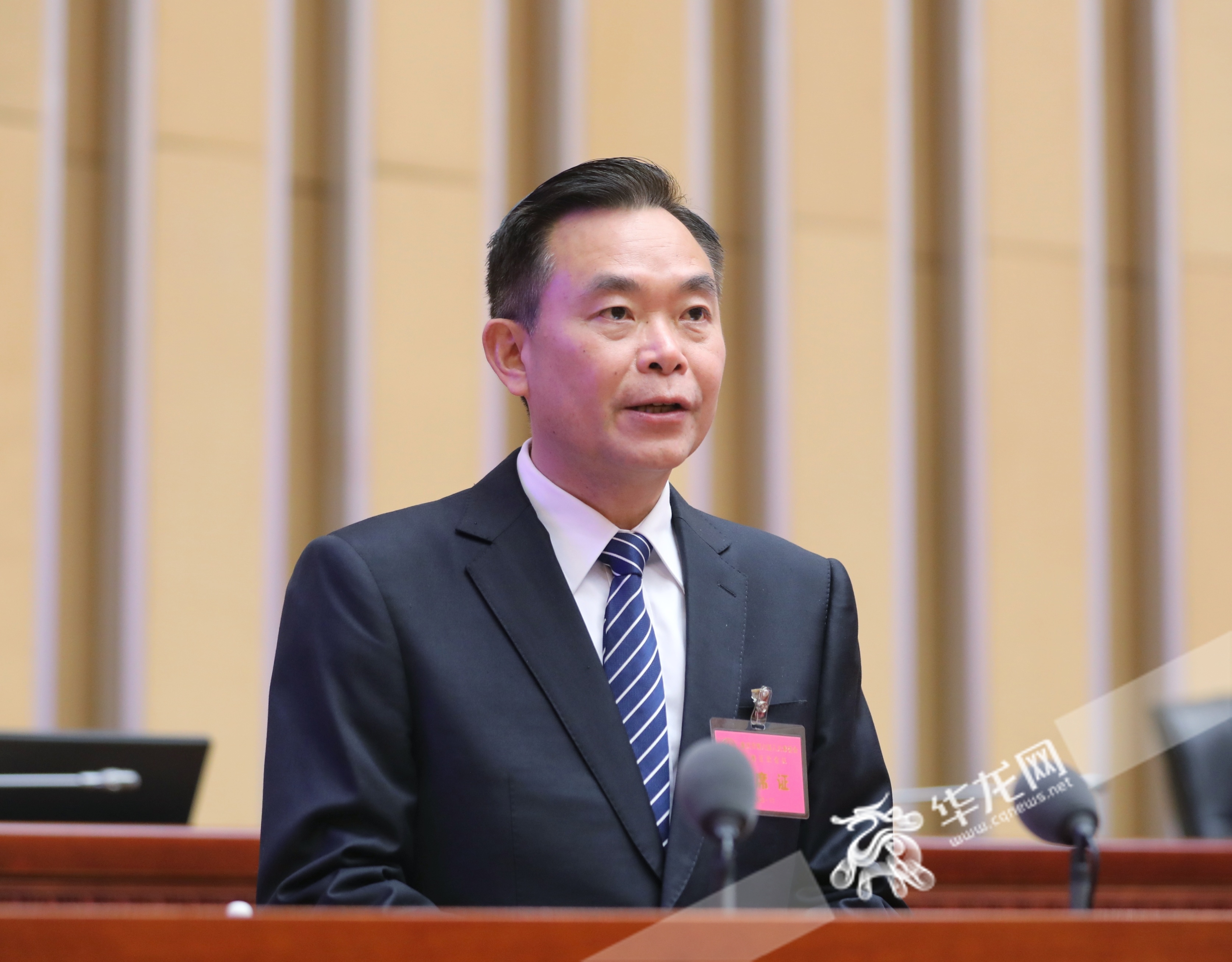 市经济信息委主任蓝庆华作关于《重庆市中小企业促进条例（修订草案）》的说明