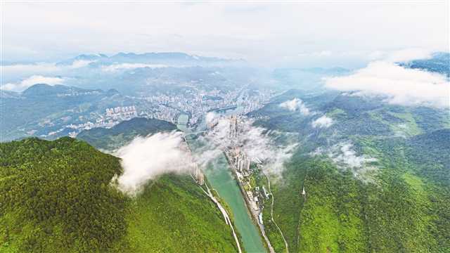 彭水：石漠化治理 荒山变森林