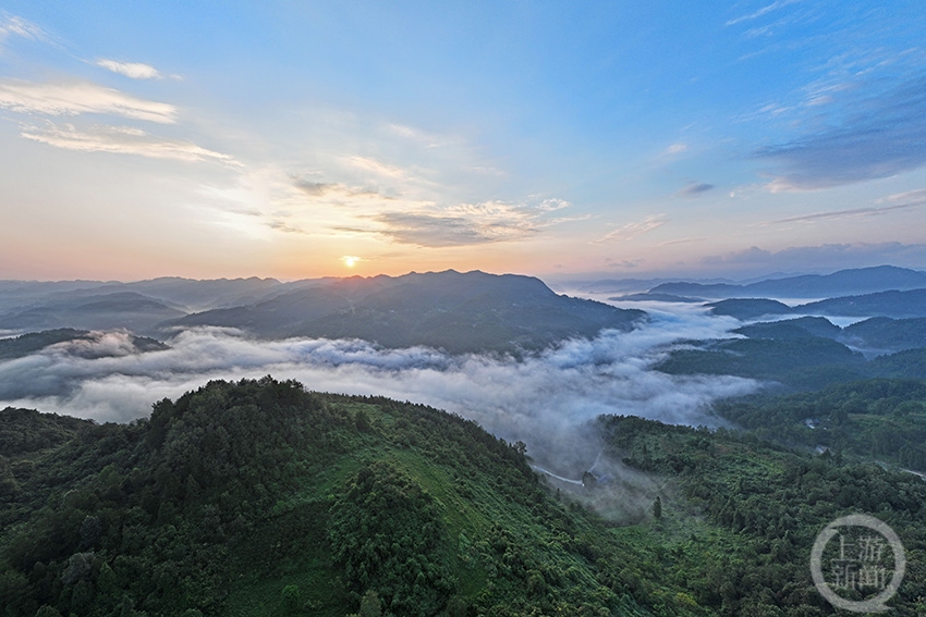 绿海映朝霞 风景美如画