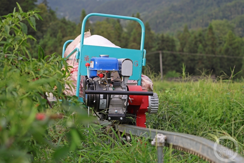 山地小火车 田间运输忙