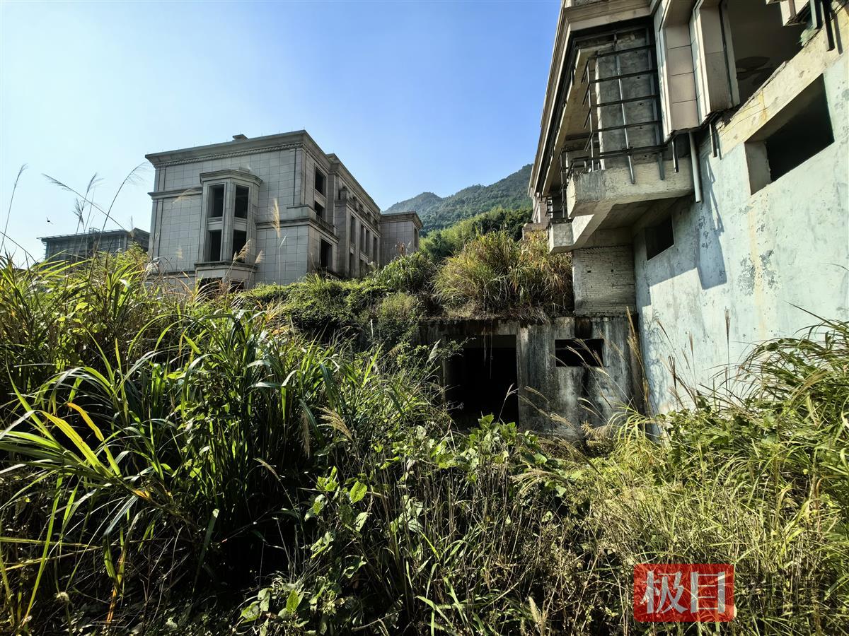 实探温州瑞安估值近4亿“烂尾”别墅群：因开发商破产停工5年，流拍五次后将以近1.9亿元起拍8
