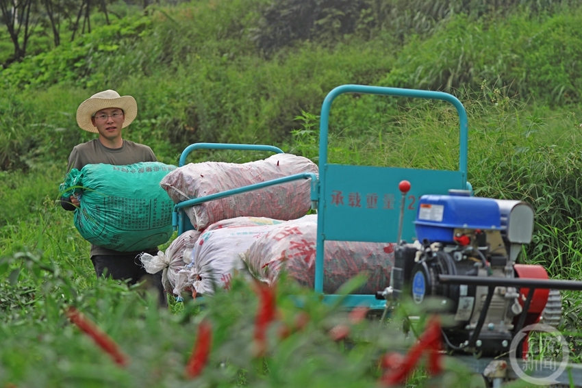 山地小火车 田间运输忙