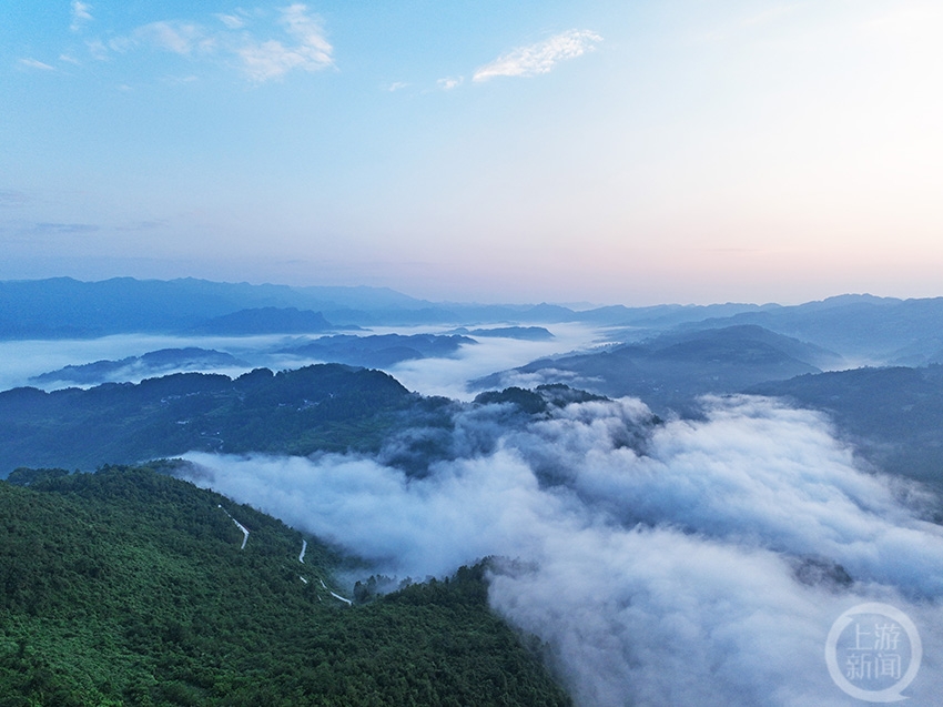 绿海映朝霞 风景美如画