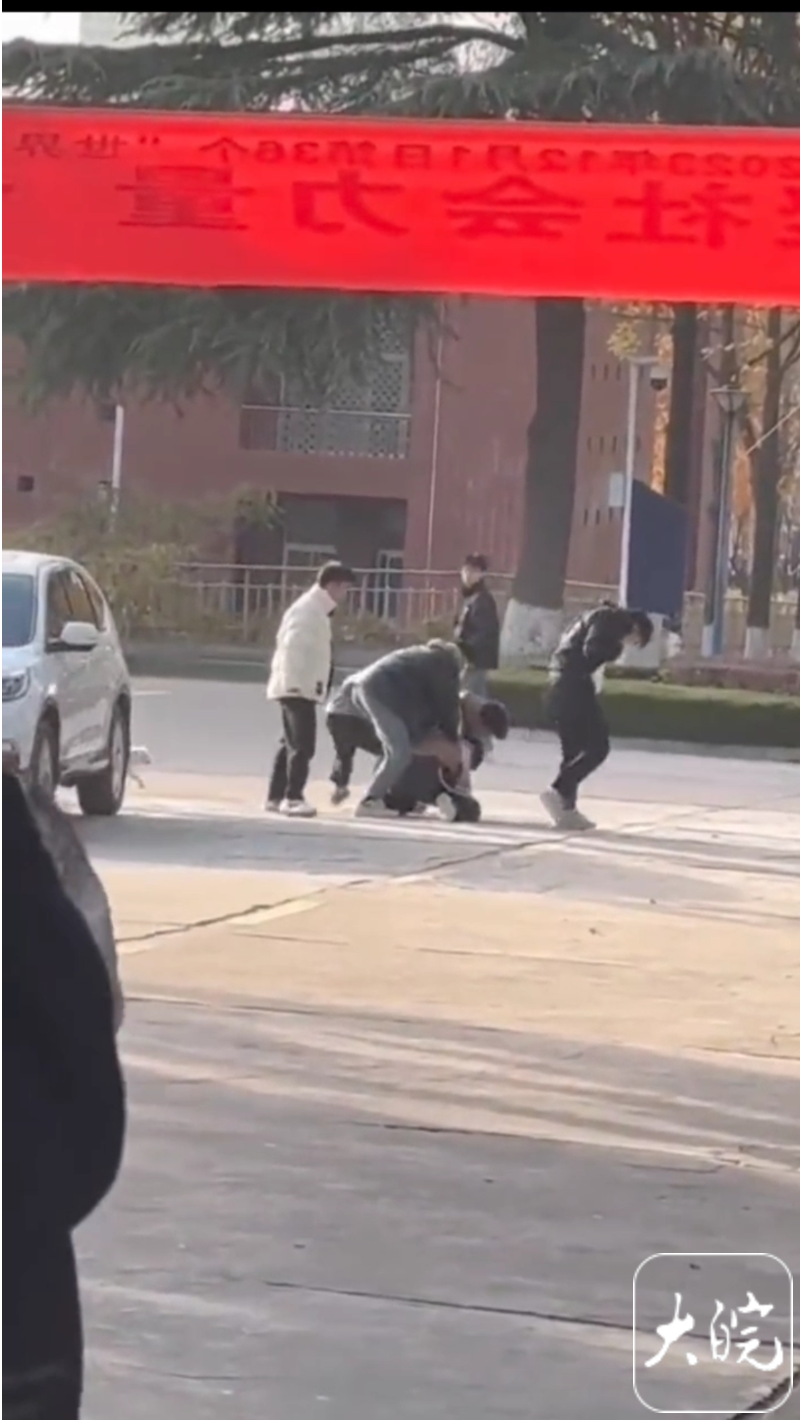 未命名图片2