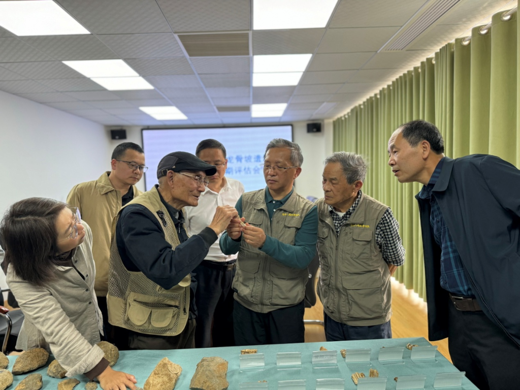 专家观摩出土遗物标本。重庆中国三峡博物馆供图