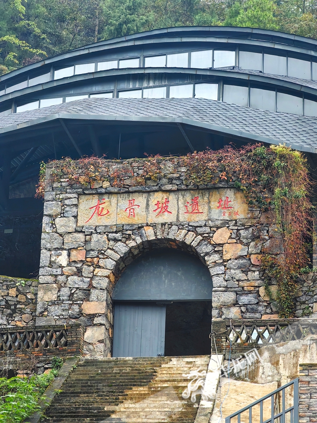 巫山龙骨坡遗址。华龙网记者 张质 摄
