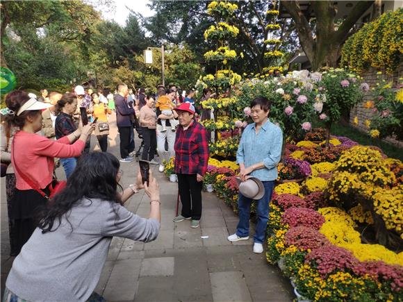渝中区鹅岭公园内正在举行的菊花展吸引了不少游客拍照合影。通讯员 范永根 摄